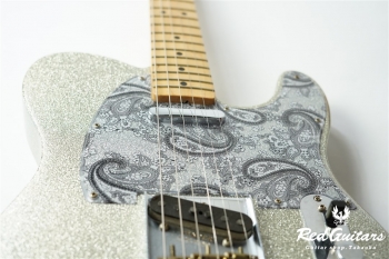 Brad Paisley Road Worn Telecaster